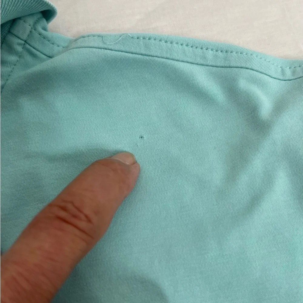 Polo Ralph Lauren Polo Shirt Mens Sz L 100% Cotton Short Sleeve Color Mint
